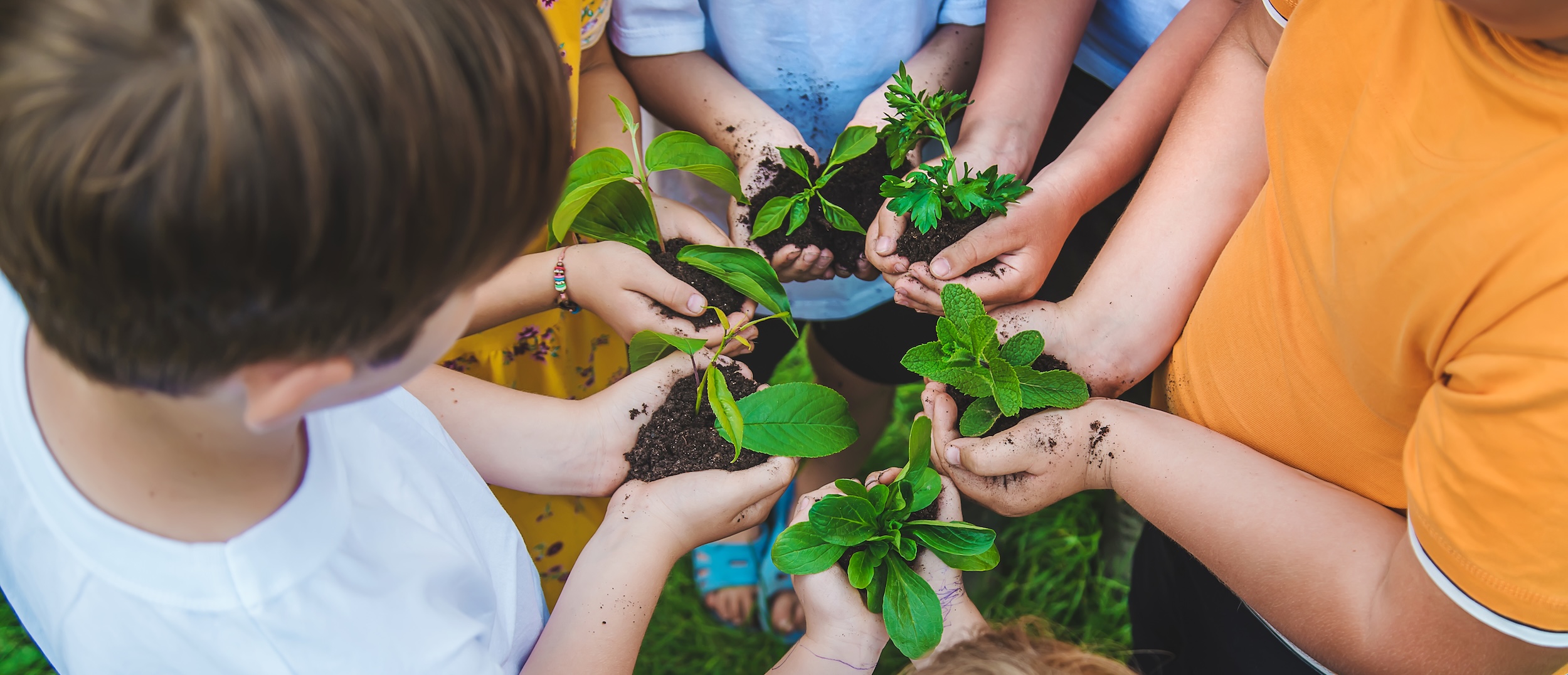 gröna näringar, landsbygd och jakt