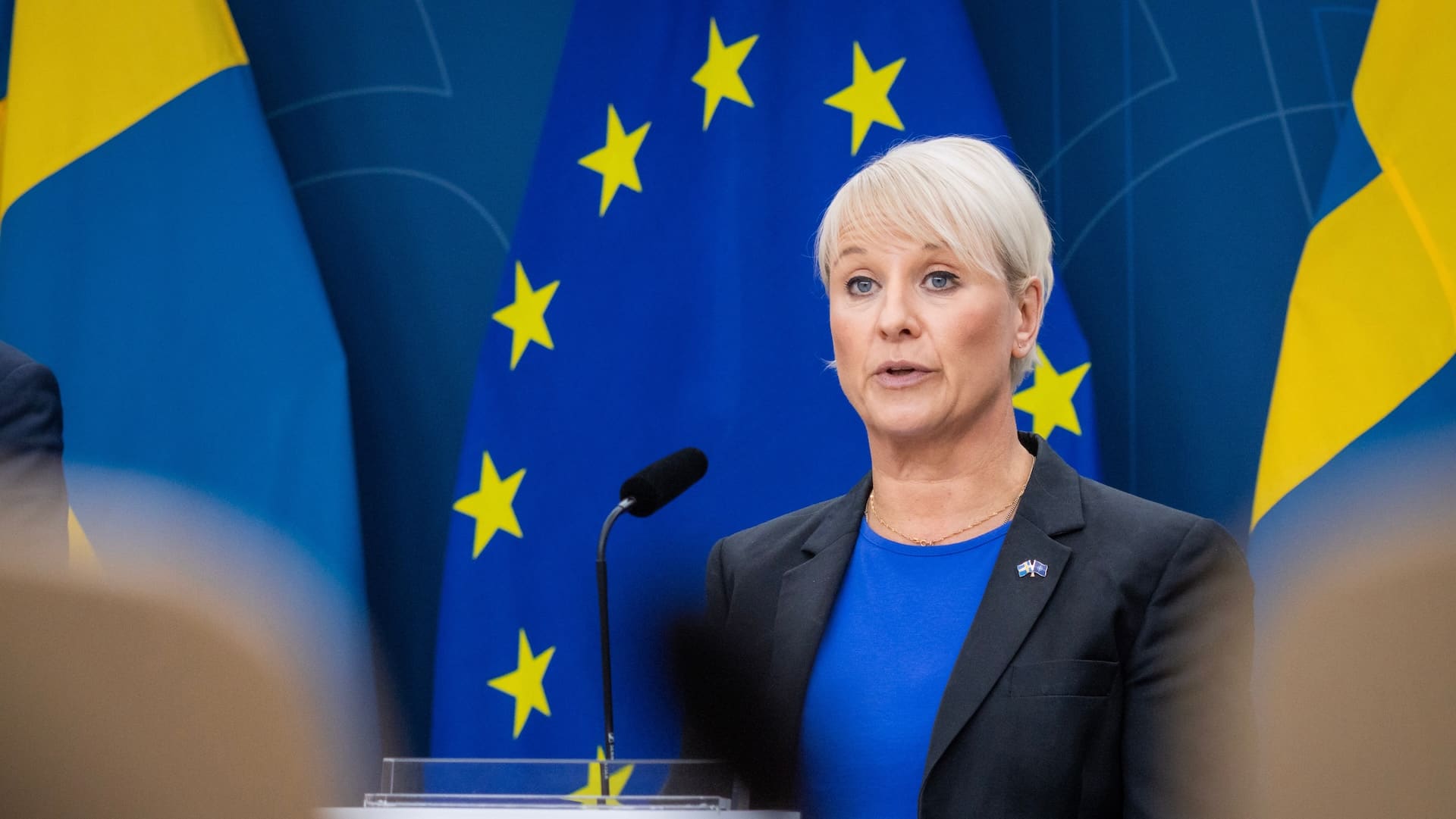 Anna Tenje, presskonferens om bidragsspärr