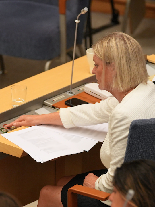 mängdrabatt Magdalena Andersson