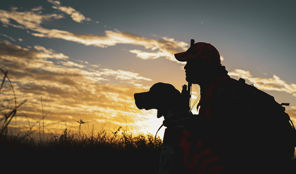 Äntligen lättnader för Gotlands jägare